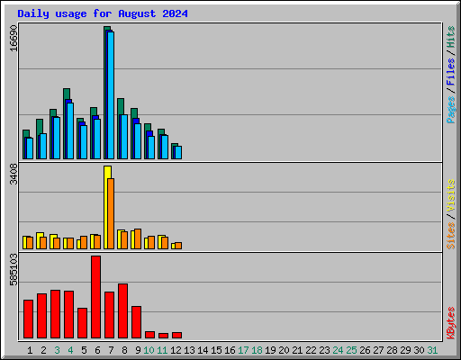 Daily usage for August 2024