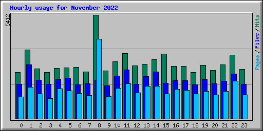 Hourly usage for November 2022