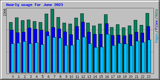 Hourly usage for June 2023