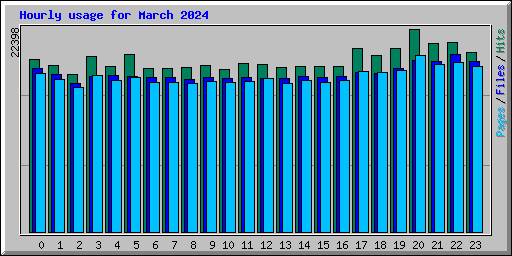 Hourly usage for March 2024