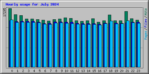 Hourly usage for July 2024