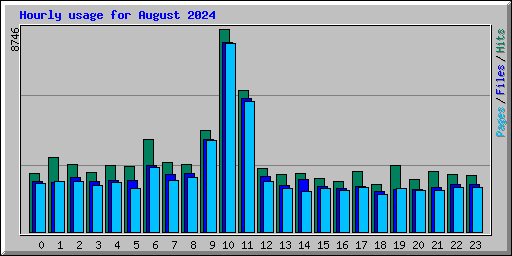 Hourly usage for August 2024